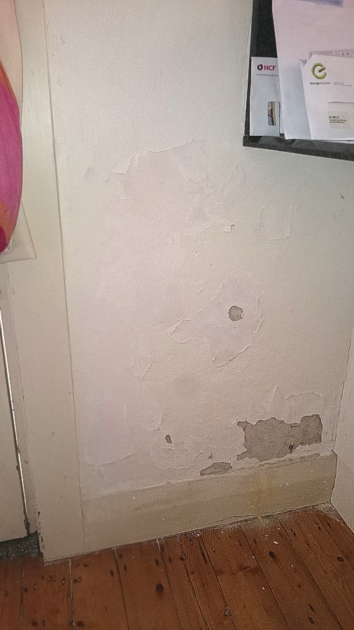 2 11 Barry St CLOVELLY rising damp  1